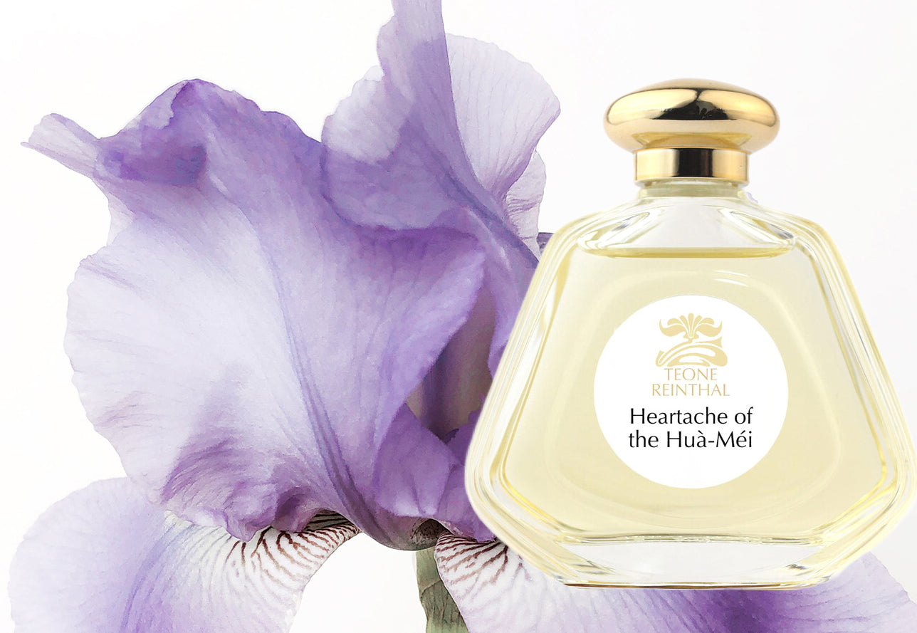 Iris waits three to five years underground before it can be worn. The history of orris root, what it smells like, and where to find it in our collection.